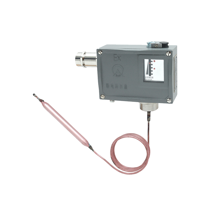 TL4112防爆溫度開關(guān)/溫度控制器