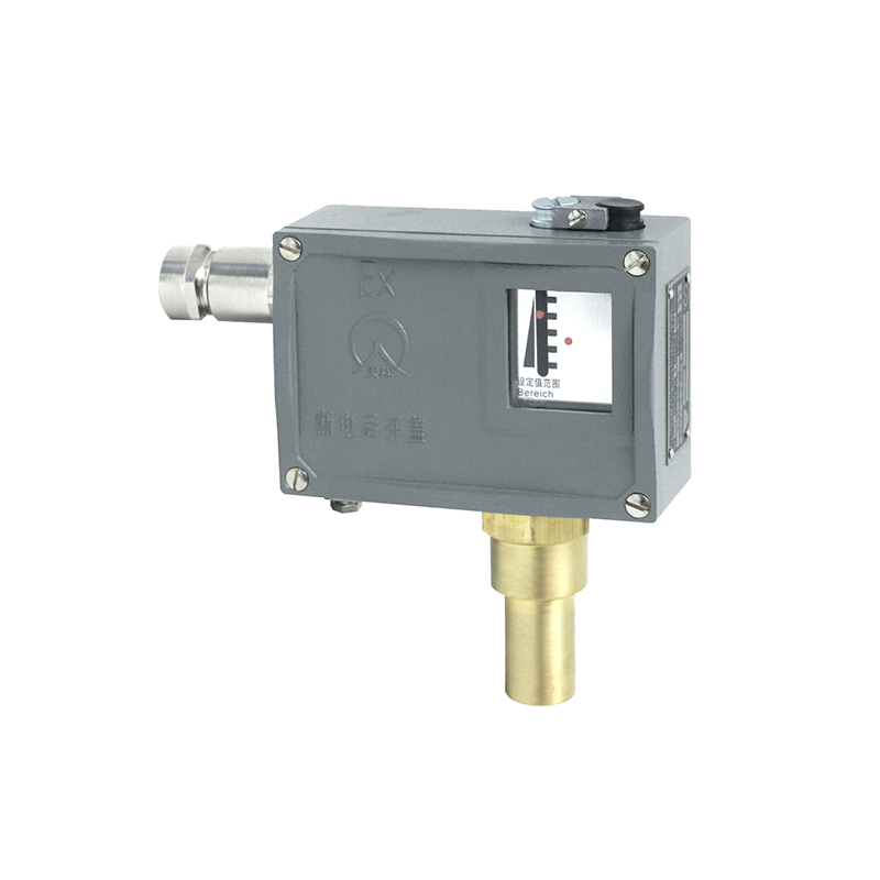 505/7D防爆型壓力開關(guān)/壓力控制器